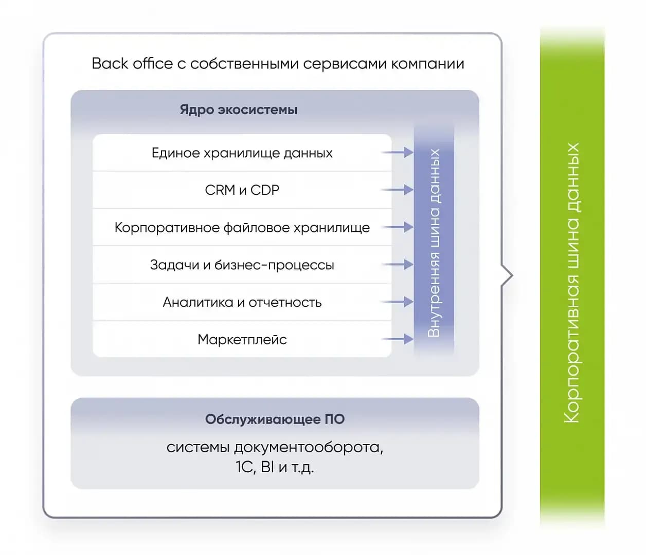 бэк.webp