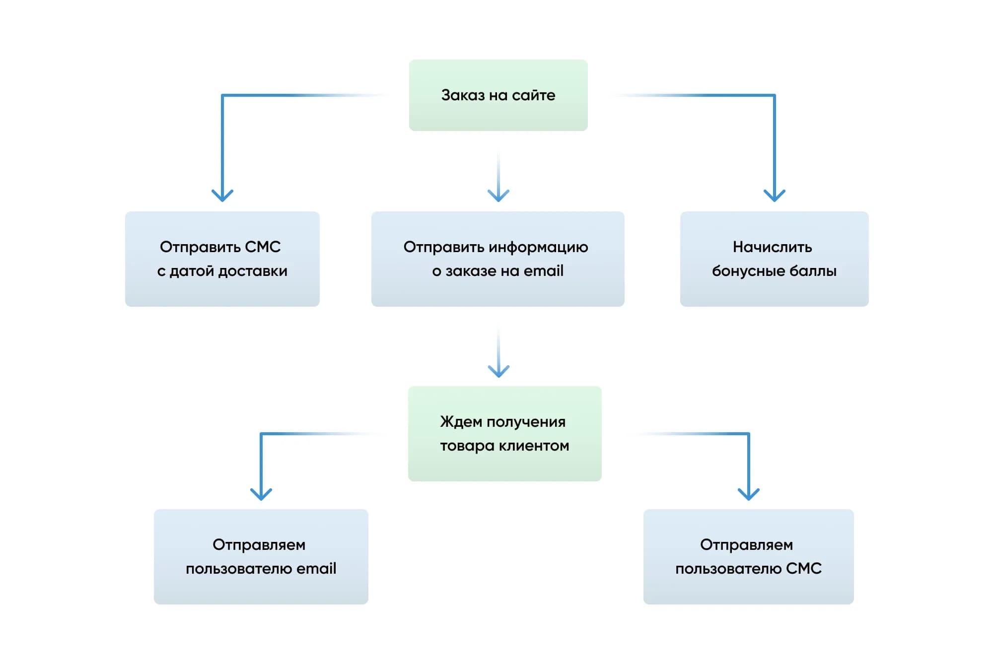 image7 (1).webp